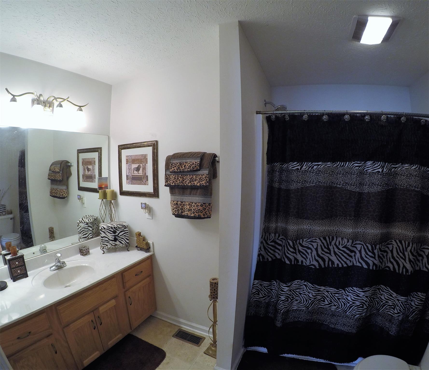 111 Filly Lane Springfield, TN 37172 - Photo 10 of 14 a bathroom with a sink and a mirror