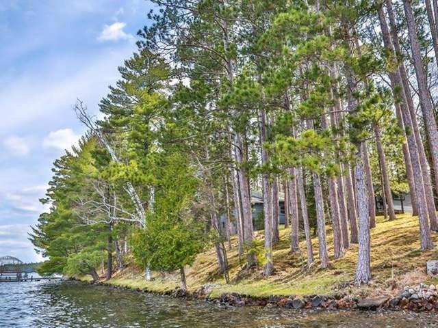 9254 Howards Point Road Minocqua, WI 54548 - Photo 3 of 20 Gallery Image 3
