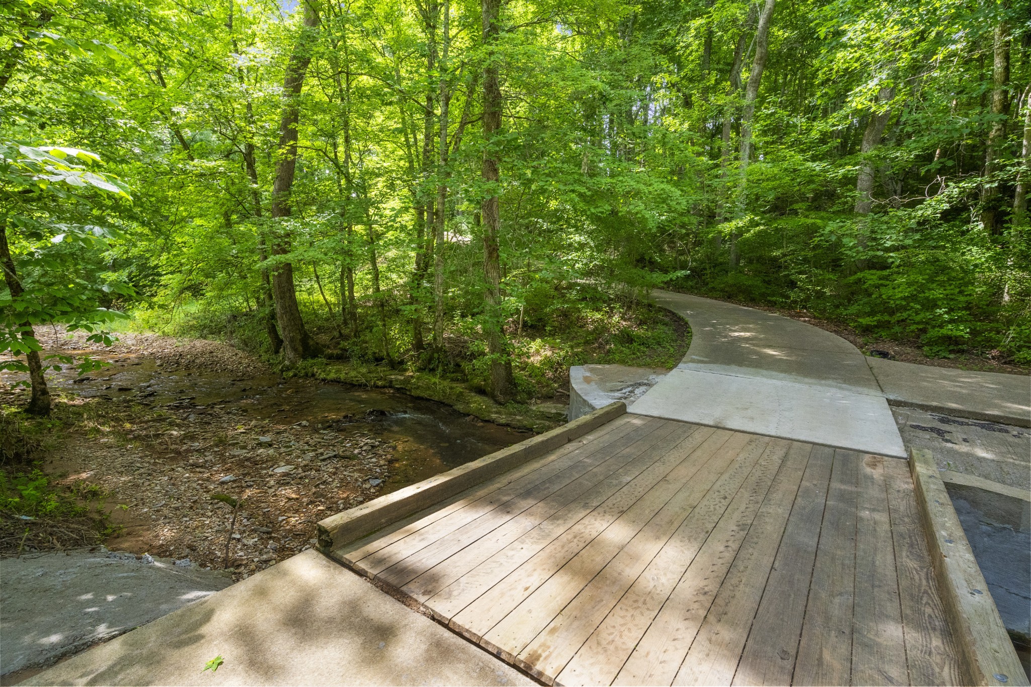 3828 Martins Chapel Road Springfield, TN 37172 - Photo 6 of 51 a view of backyard with green space