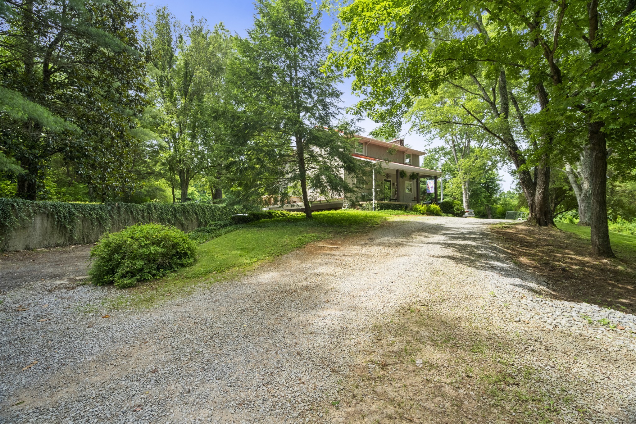 3828 Martins Chapel Road Springfield, TN 37172 - Photo 9 of 51 a view of a yard with plants and large trees