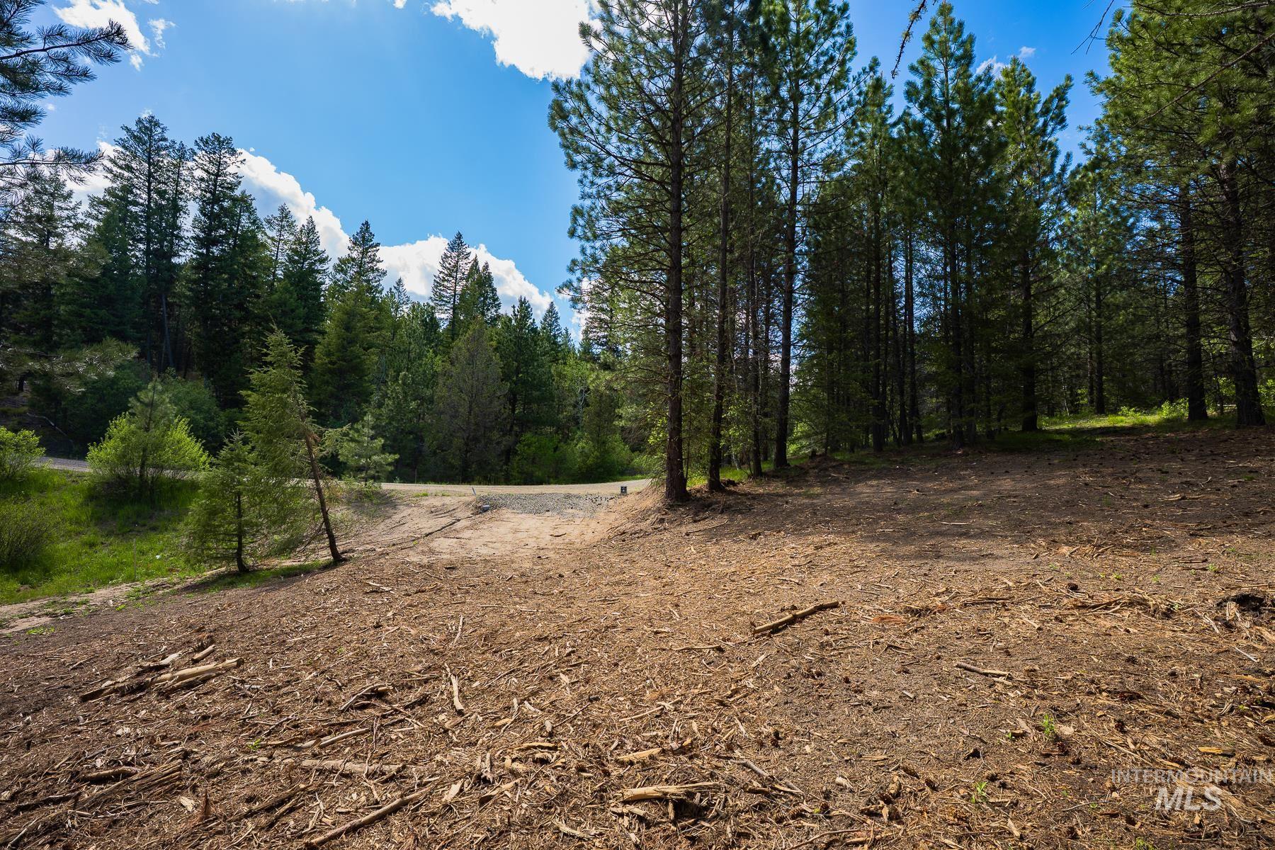 Lot 51 Price Loop Cascade, ID 83611 - Photo 5 of 26