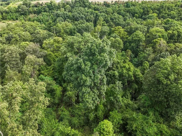 an aerial view of a forest with houses