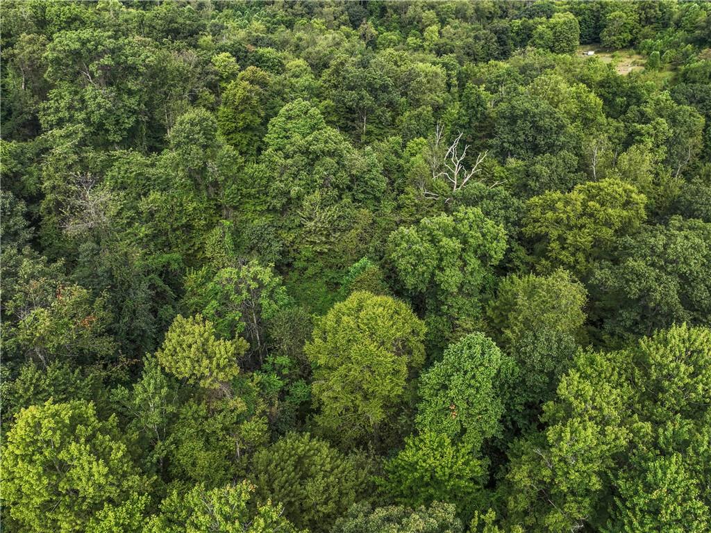 0 McClain Road Beaver Falls, PA 15010 - Photo 13 of 16 a view of a lush green forest