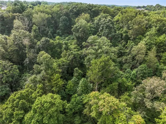 an aerial view of residential house with outdoor space and trees all around