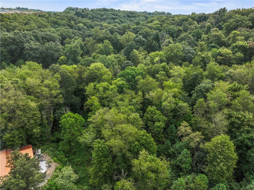 0 McClain Road Beaver Falls, PA 15010 - Photo 16 of 16 a view of a forest with a street