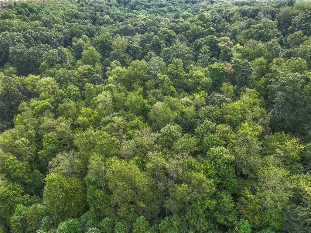 0 McClain Road Beaver Falls, PA 15010 - Photo 3 of 16 an aerial view of residential house with outdoor space and trees all around