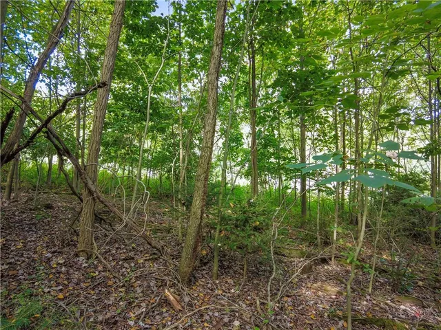 an aerial view of residential house with outdoor space