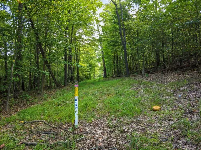 an aerial view of residential house with outdoor space and trees all around