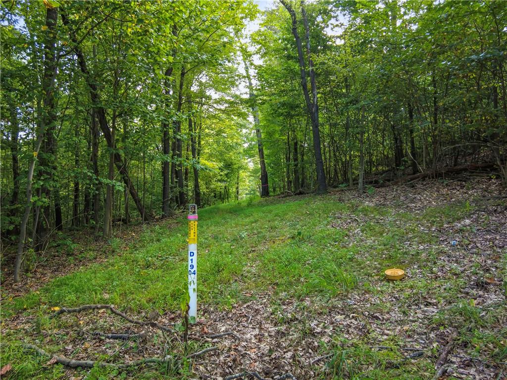 0 McClain Road Beaver Falls, PA 15010 - Photo 6 of 16 a green field with lots of trees