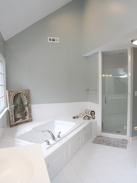4105 Ridgebrook Bluffs Drive Raleigh, NC 27603 - Photo 11 of 25 Master Bath/Spa