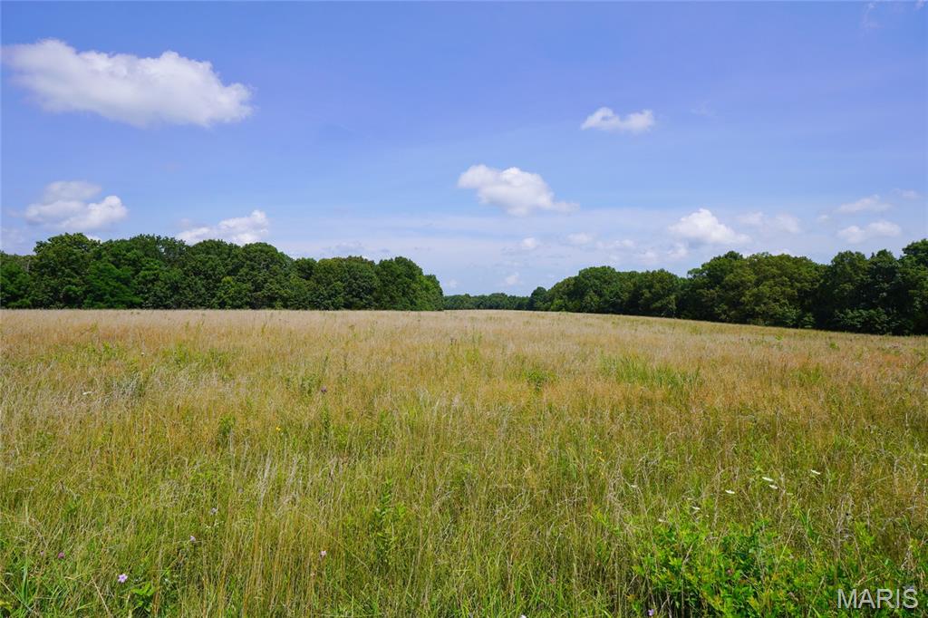 57-acres Chad Lane Rhineland, MO 65069 - Photo 3 of 16
