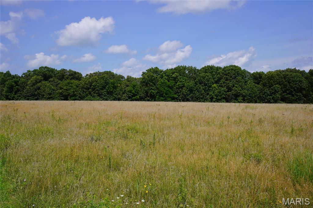 57-acres Chad Lane Rhineland, MO 65069 - Photo 5 of 16