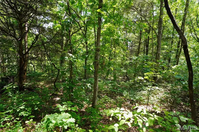 $427,500 | 57-acres Chad Lane, Rhineland, MO 65069