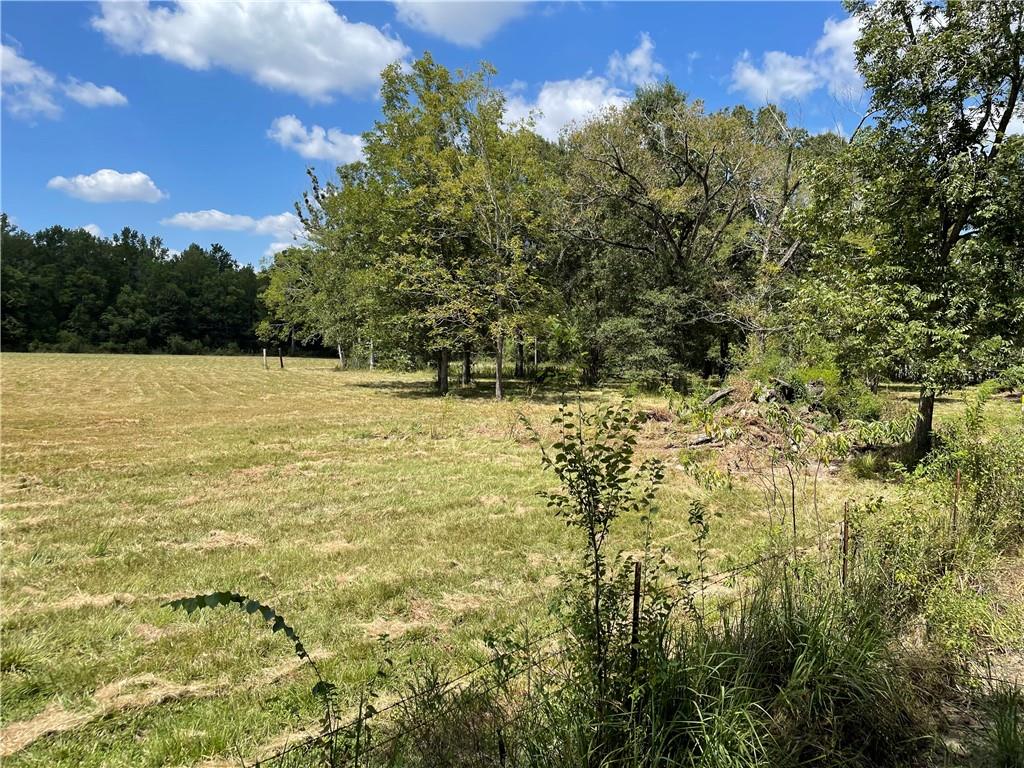 Tbd Talmadge Crumholt Road Baker, LA 70714 - Photo 3 of 10