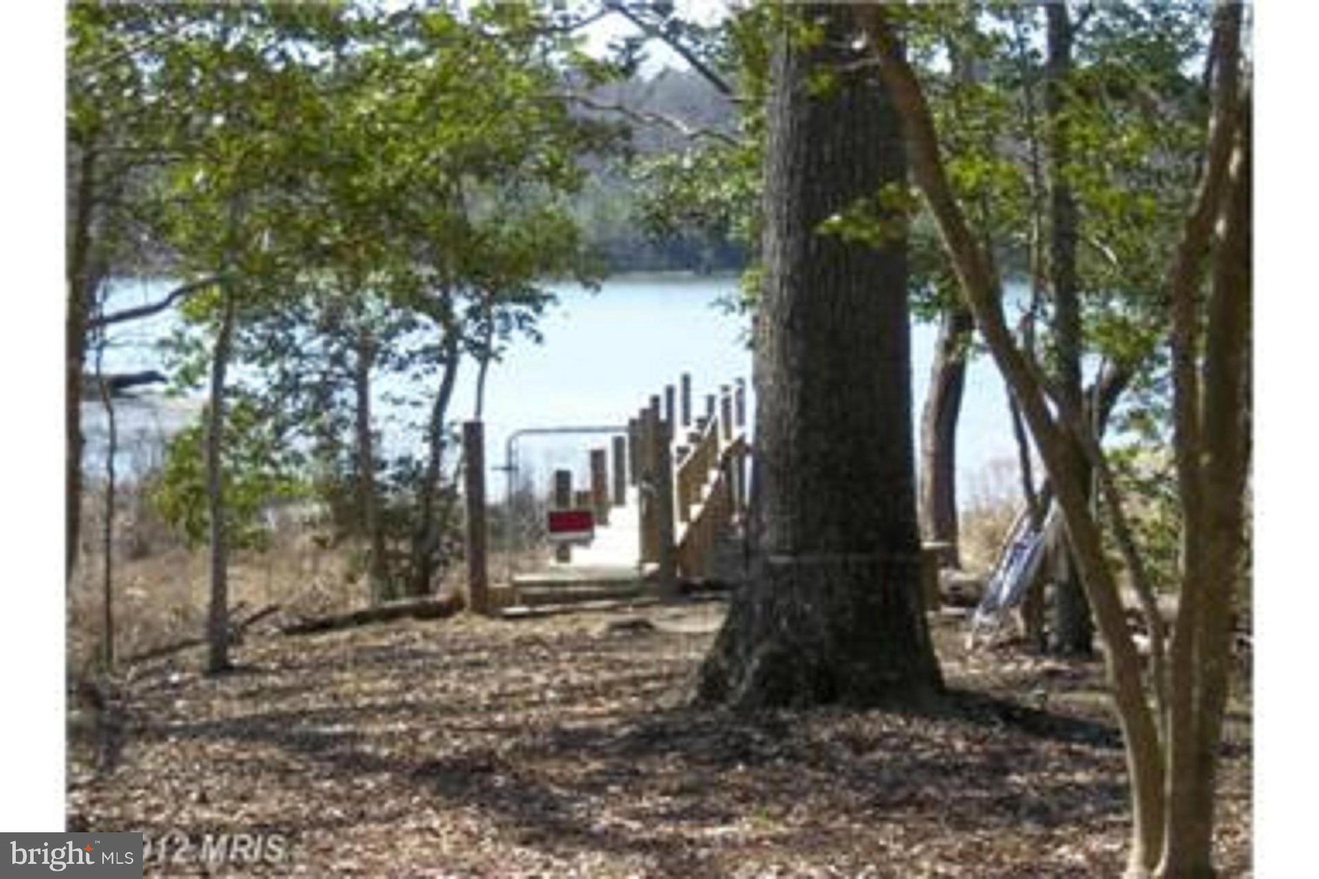 48730 Smith Drive Ridge, MD 20680 - Photo 2 of 5 a view of a outdoor space