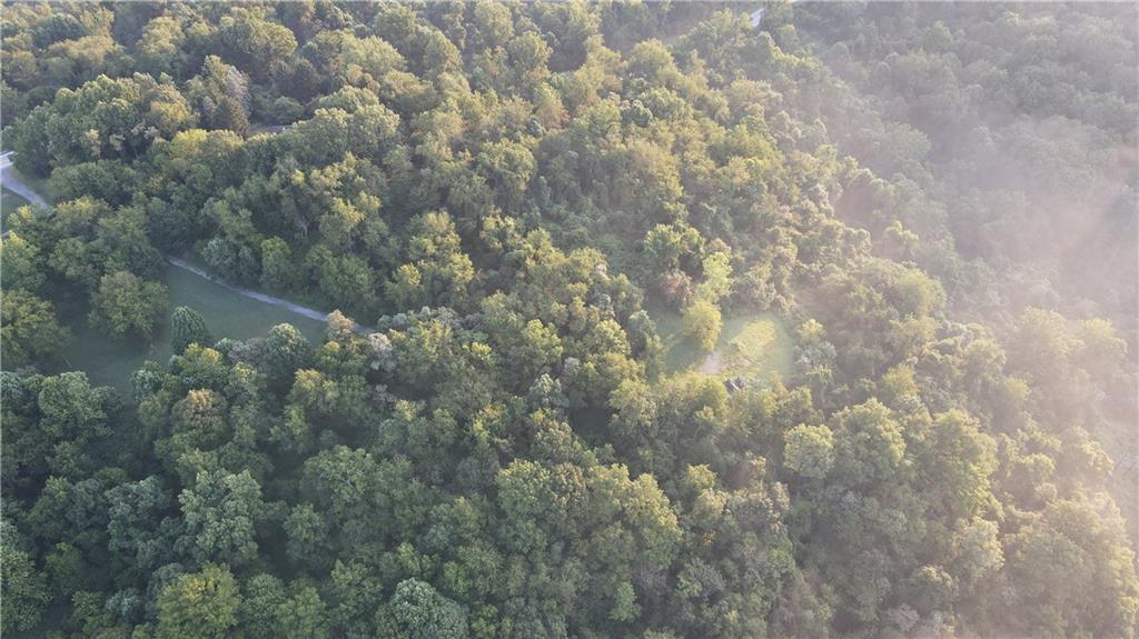 0 Rt 837 Monongahela, PA 15063 - Photo 14 of 20 a view of a yard