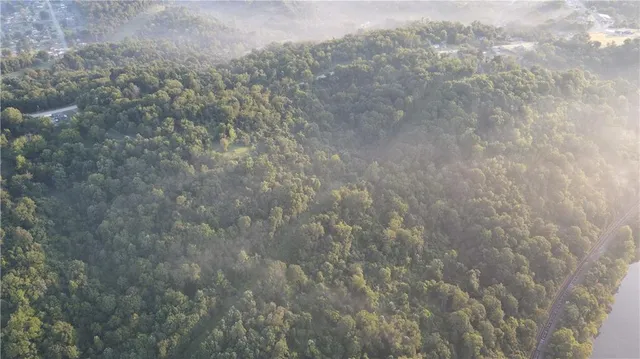 a close up of a field