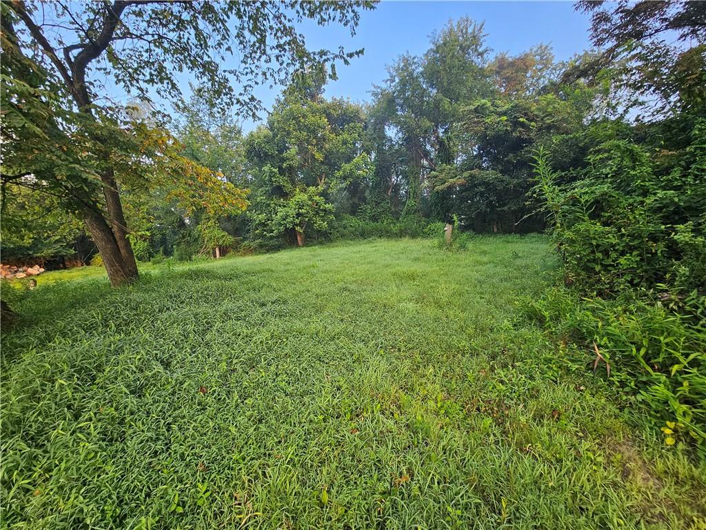 0 Rt 837 Monongahela, PA 15063 - Photo 7 of 20 a view of a big yard with plants and large trees