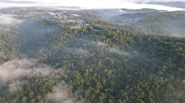 a view of a forest with mountains in the background
