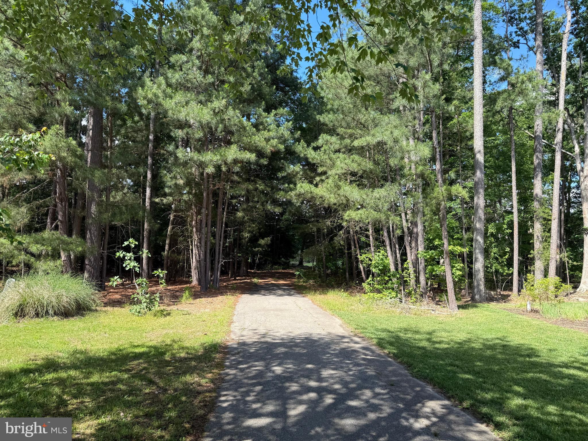 a view of outdoor space with green field and trees