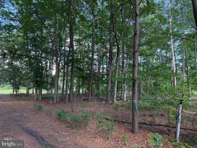 $75,000 | 15127 Beacon Hill Circle, Issue, MD 20645