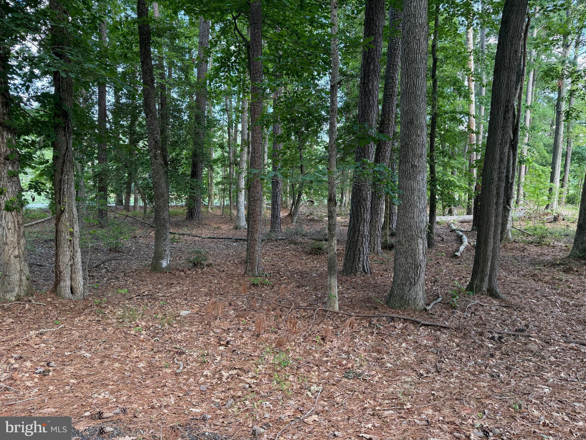 15127 Beacon Hill Circle Issue, MD 20645 - Photo 4 of 18 a backyard of a house with lots of green space