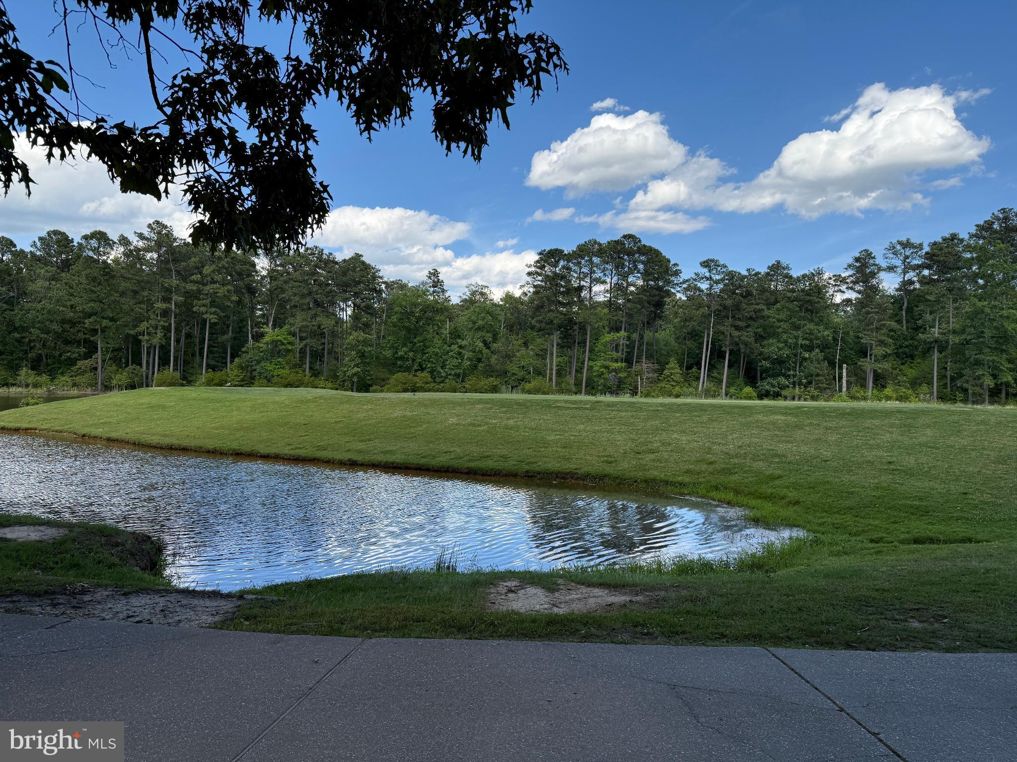 15127 Beacon Hill Circle Issue, MD 20645 - Photo 7 of 18 a view of a golf course
