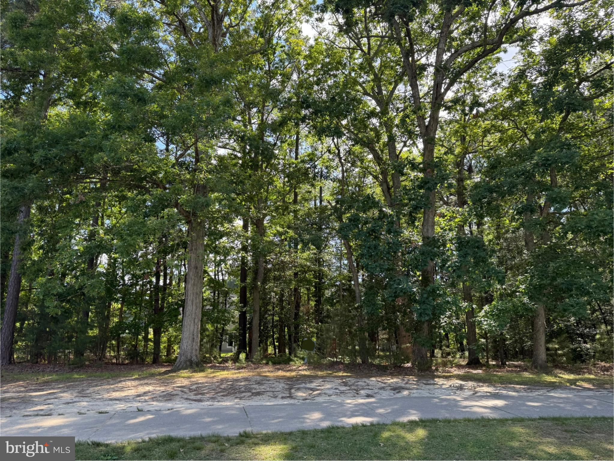 15127 Beacon Hill Circle Issue, MD 20645 - Photo 9 of 18 a view of outdoor space with trees