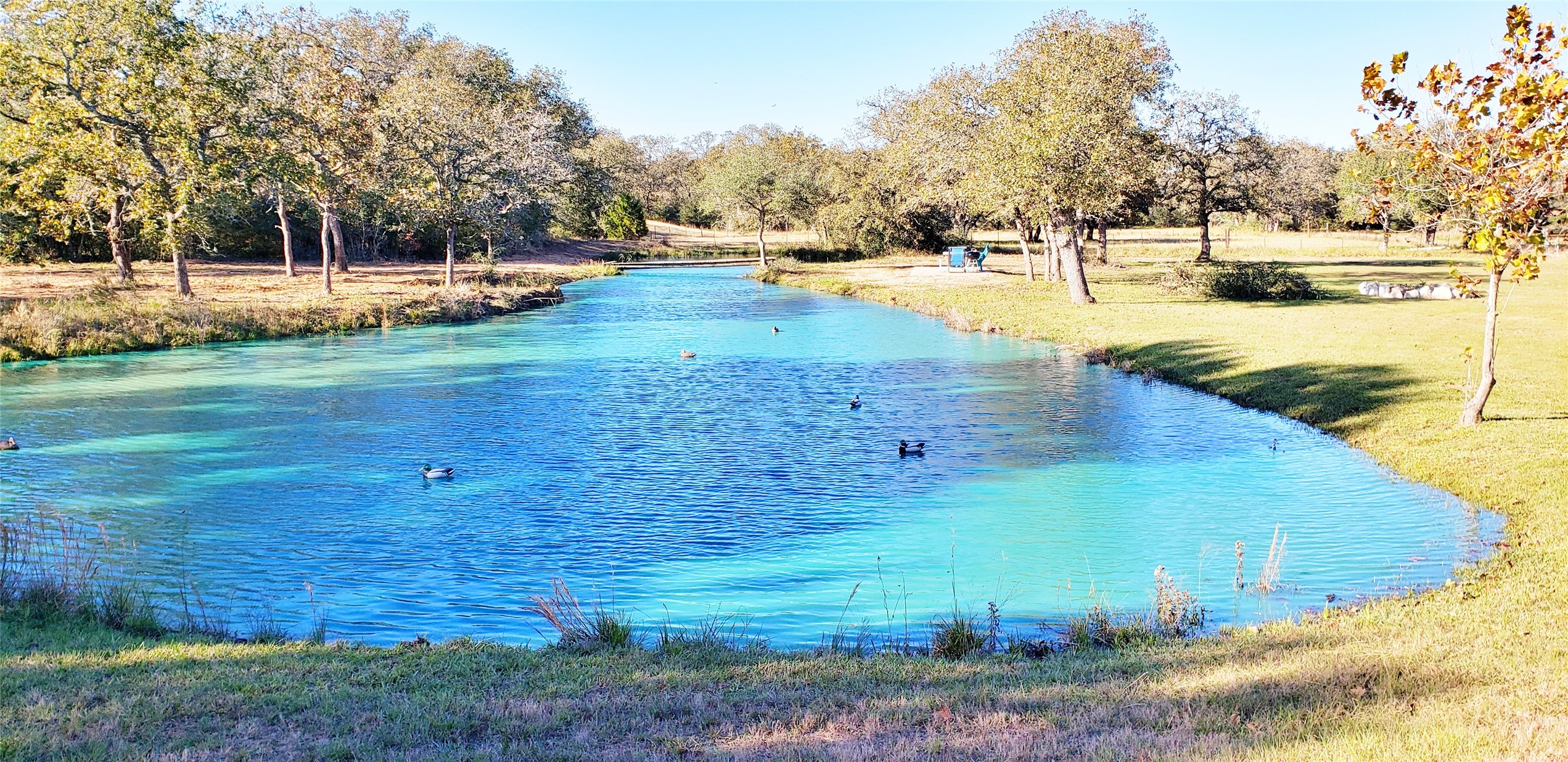1085 Reeves Road Garwood, TX 77442 - Photo 13 of 28 a view of a yard with swimming pool