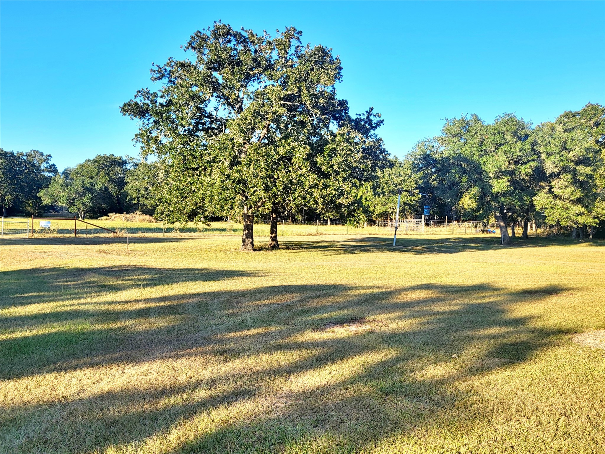 1085 Reeves Road Garwood, TX 77442 - Photo 14 of 28 a view of a swimming pool with a yard