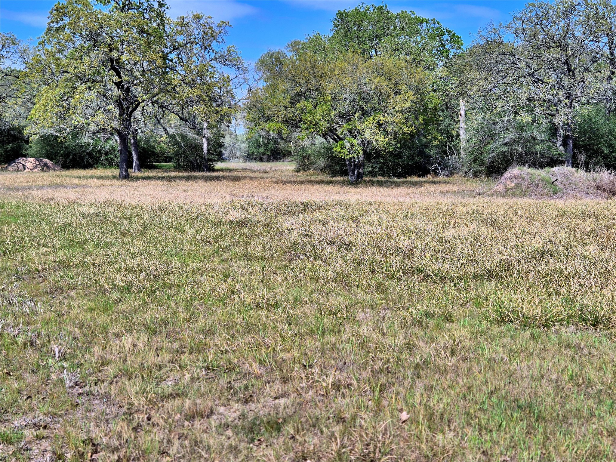 1085 Reeves Road Garwood, TX 77442 - Photo 26 of 28