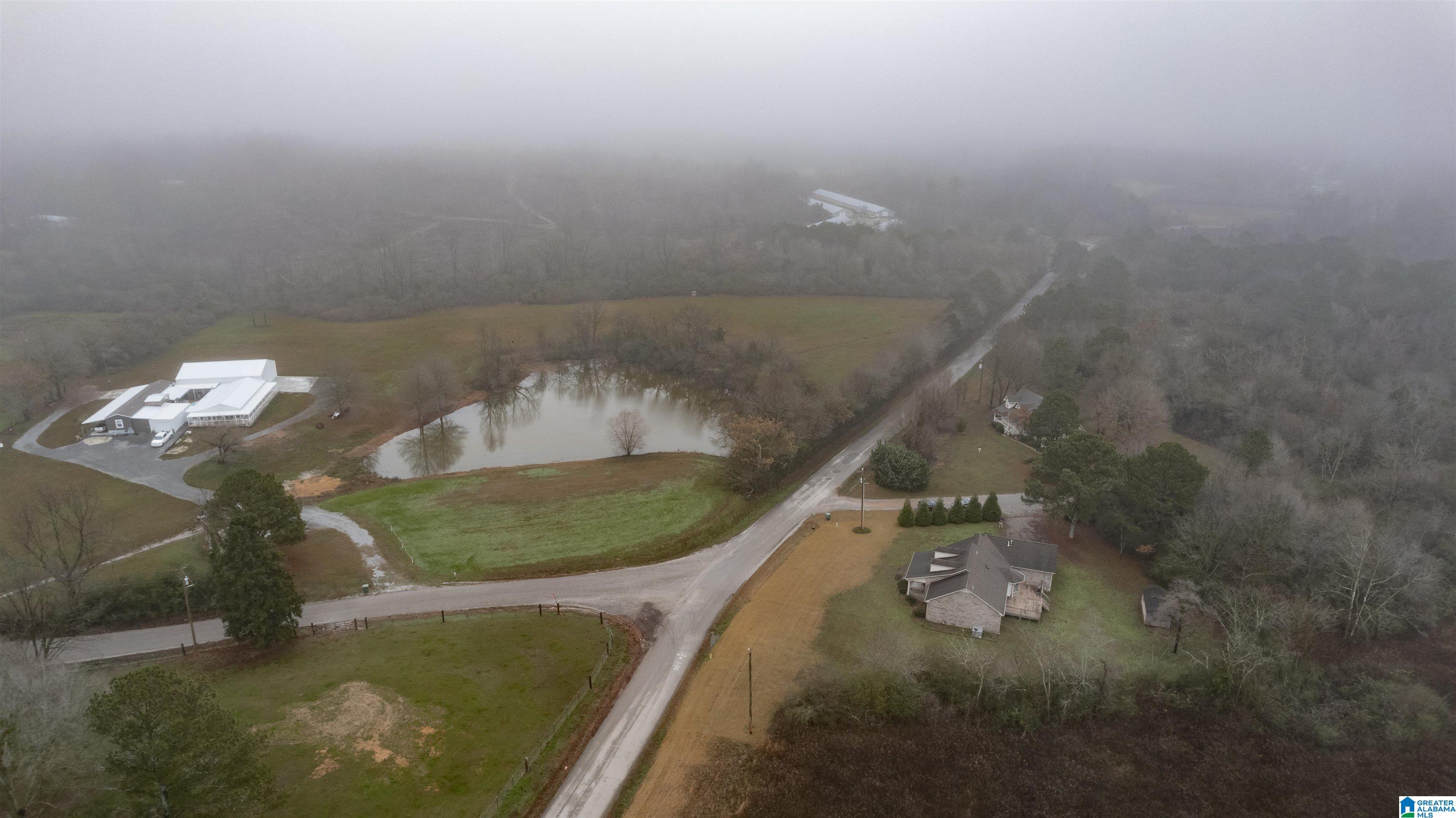 941 Hopewell Road Northeast Hanceville, AL 35077 - Photo 43 of 46