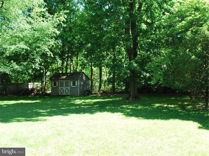 431 Dorset Road Devon, PA 19333 - Photo 3 of 15 View in Back