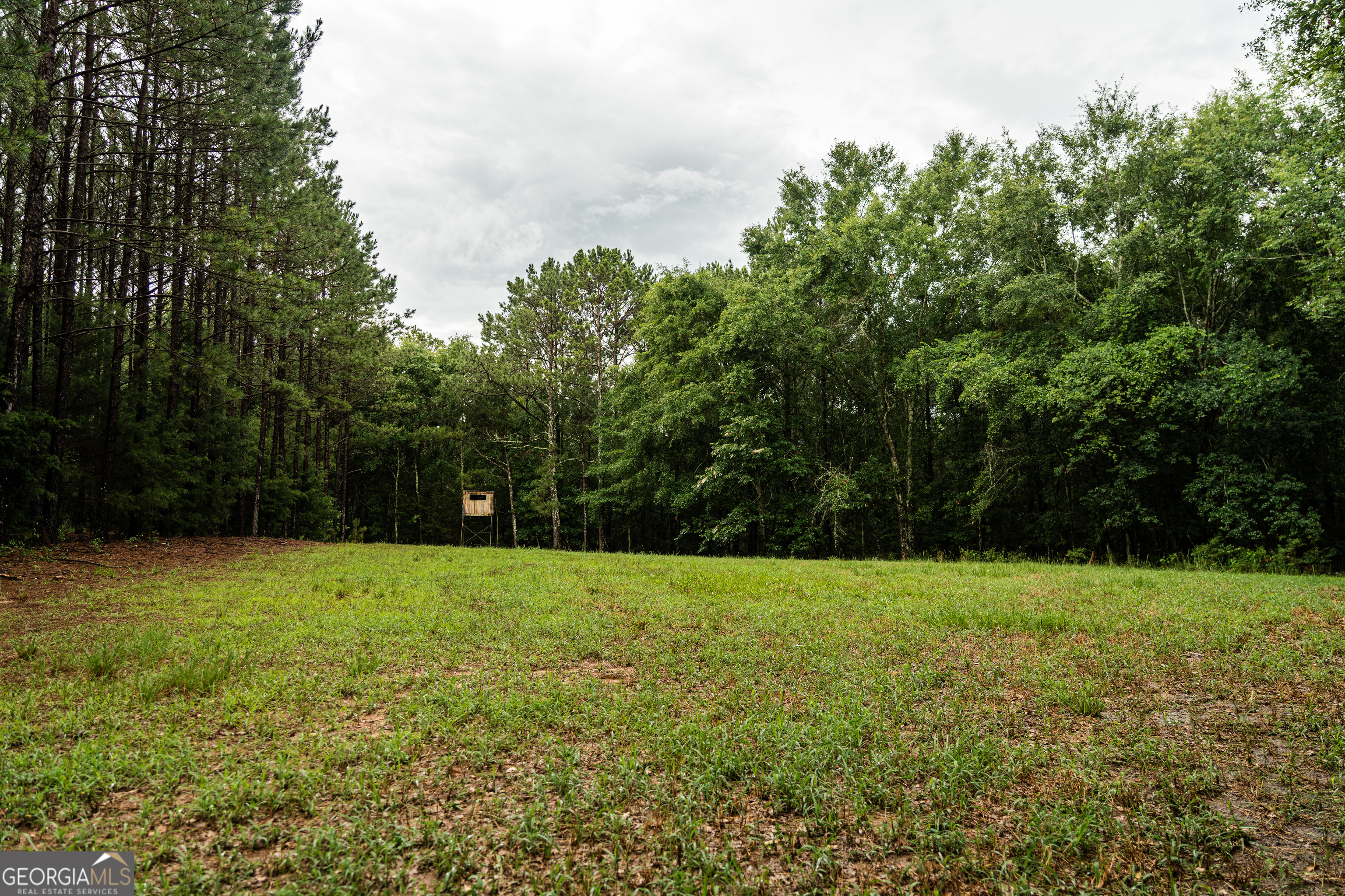 990 Highway 49 Americus, GA 31719 - Photo 67 of 121