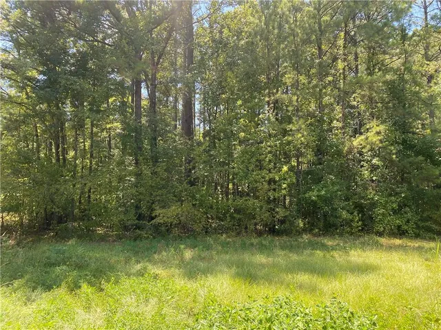 $50,000 | 0 La 1 Highway, Lena, LA 71447