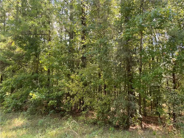 $50,000 | 0 La 1 Highway, Lena, LA 71447