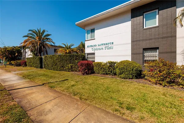 a view of backyard of house and palm tree