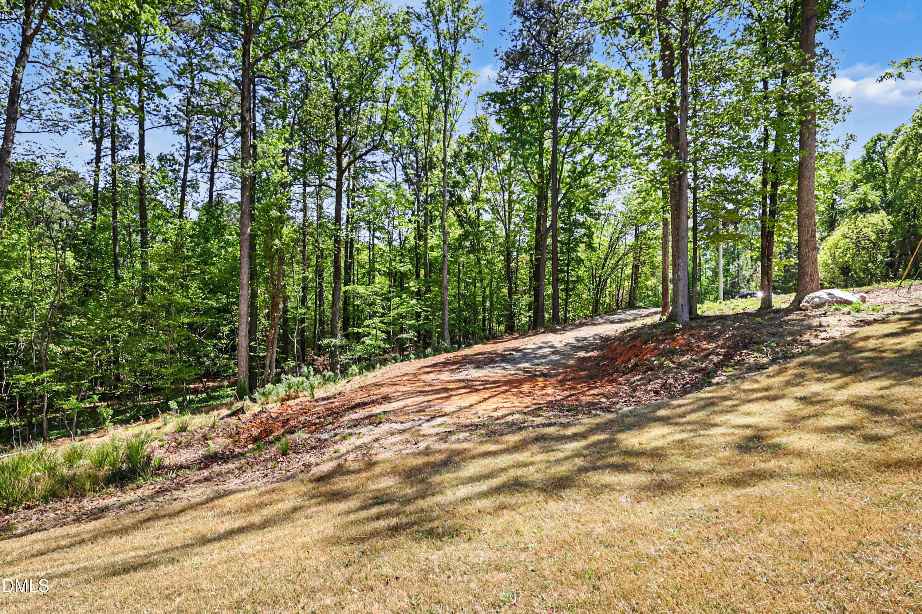 810 Southwest Maynard Road Cary, NC 27511 - Photo 7 of 14 a view of a yard with plants and trees