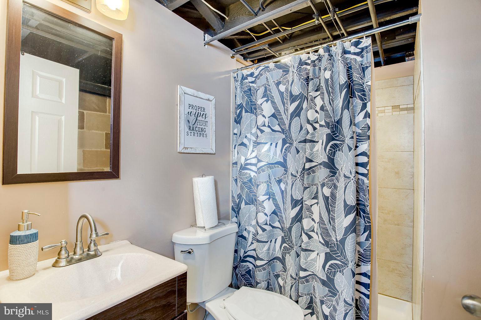 300 Homberg Avenue Baltimore, MD 21221 - Photo 31 of 46 Lower Level Bathroom