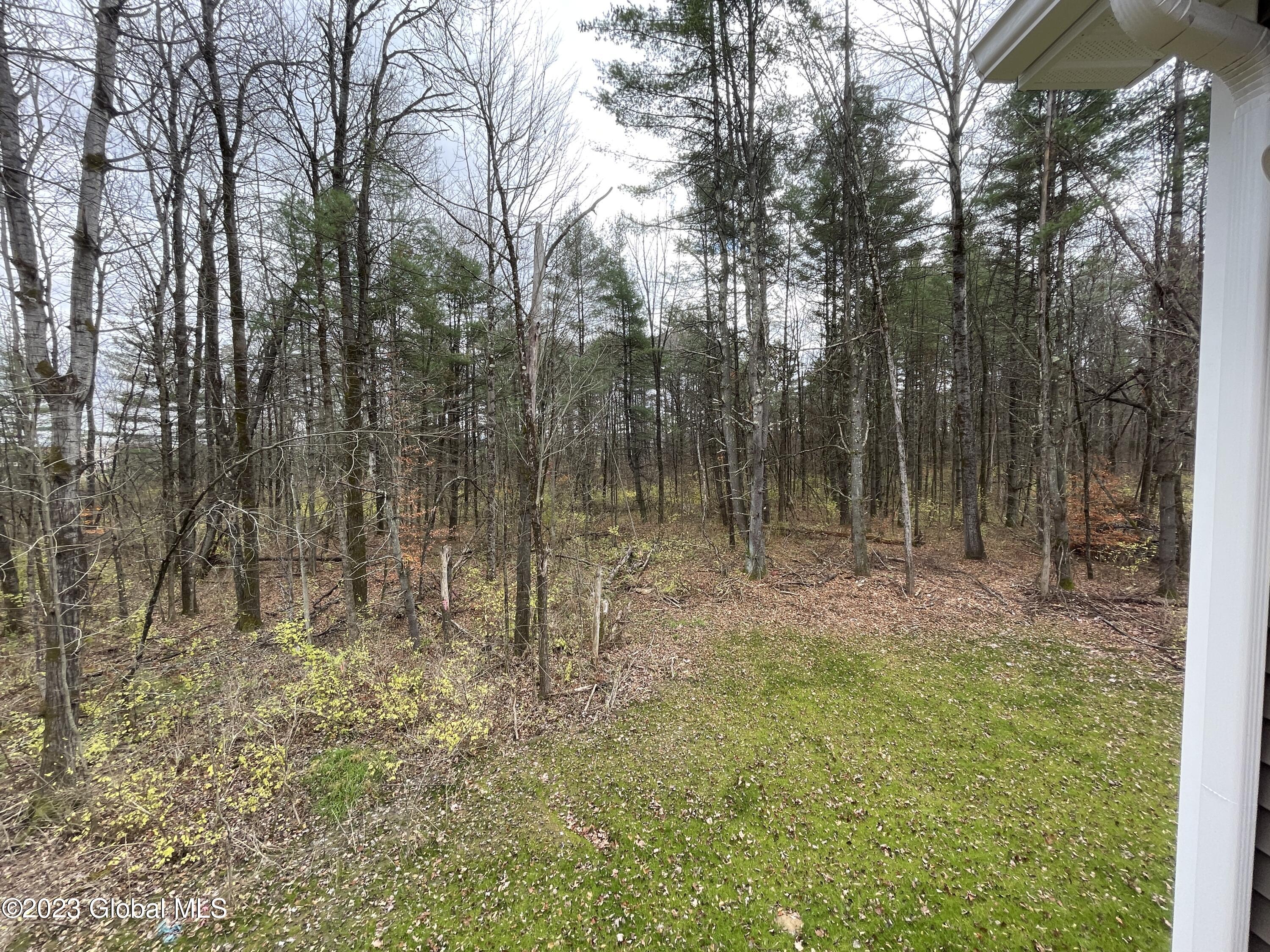 5 Burnham Road Wilton, NY 12831 - Photo 16 of 44 IMG_0438