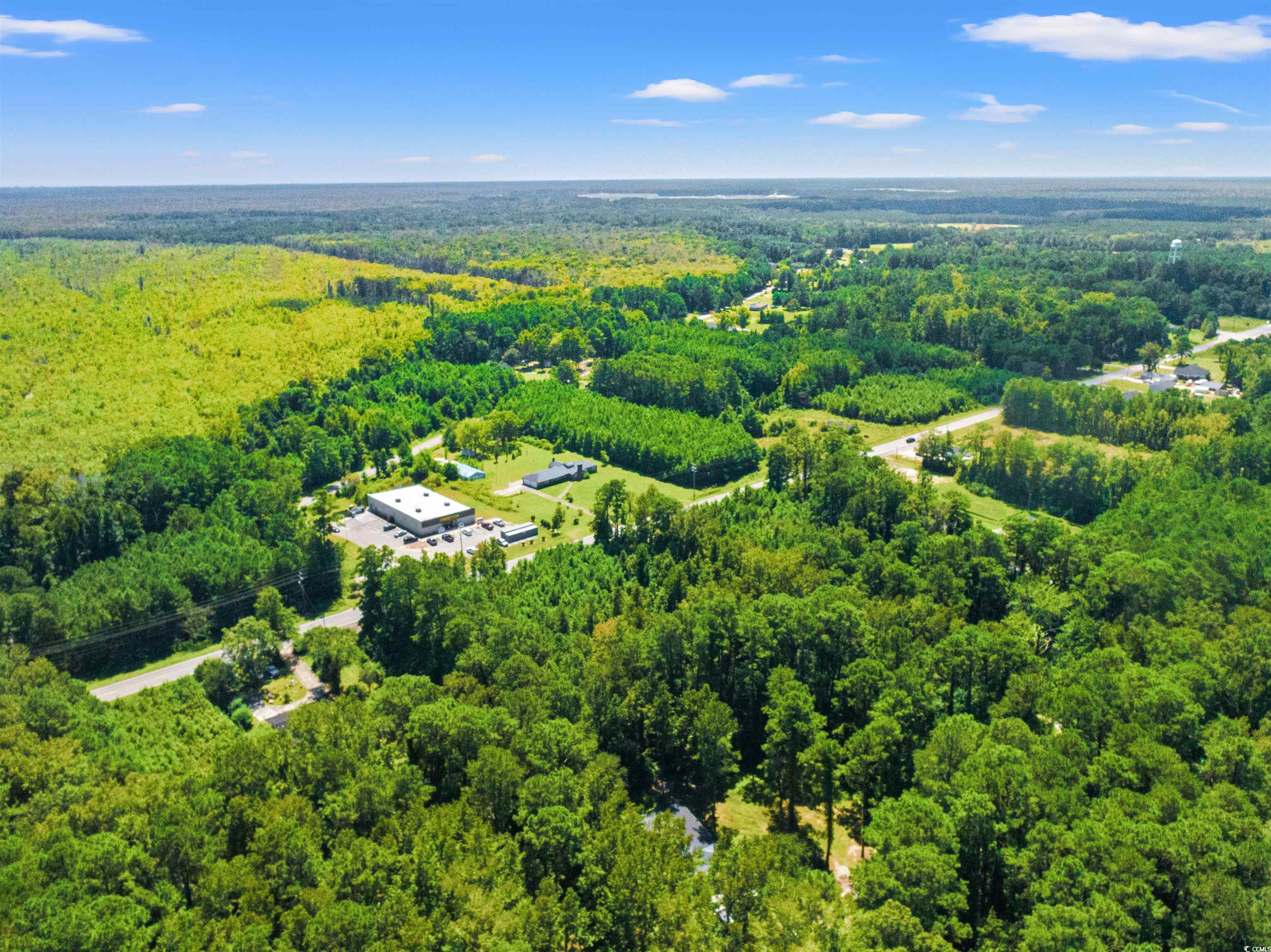 183 Sing Avenue Conway, SC 29527 - Photo 39 of 40