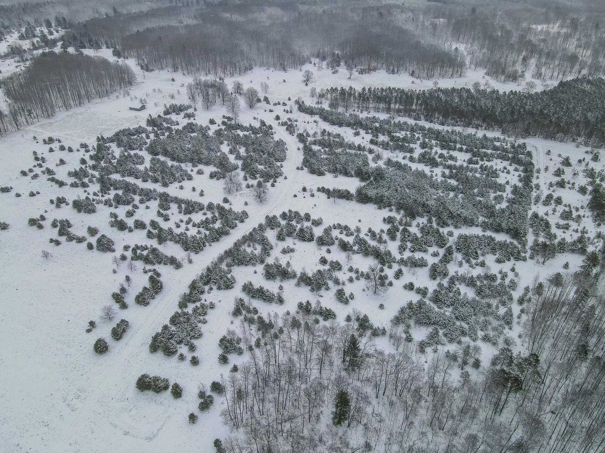 81-acres North 25 Road Buckley, MI 49620 - Photo 22 of 36
