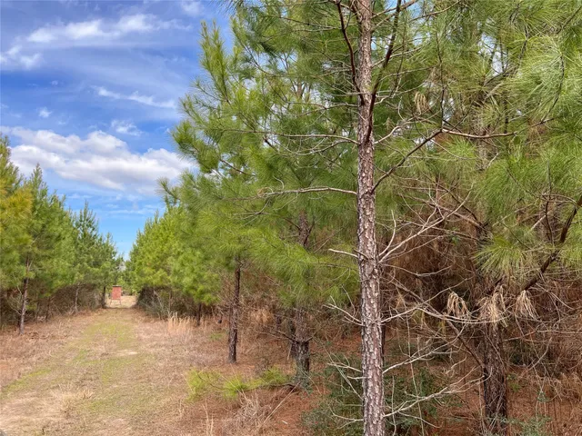 $195,510 | 10 Fm 1746, Woodville, TX 75979