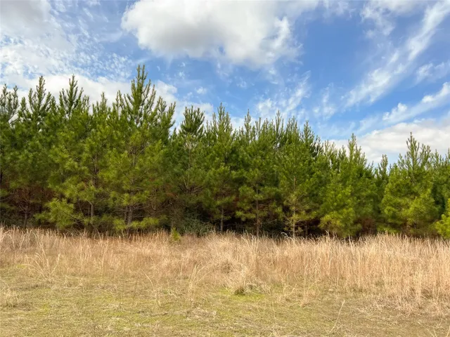 $195,510 | 10 Fm 1746, Woodville, TX 75979