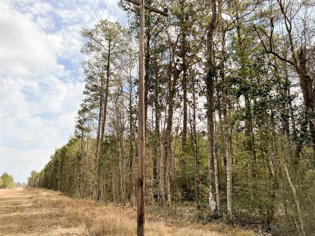 $195,510 | 10 Fm 1746, Woodville, TX 75979