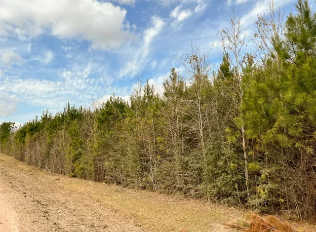 $195,510 | 10 Fm 1746, Woodville, TX 75979