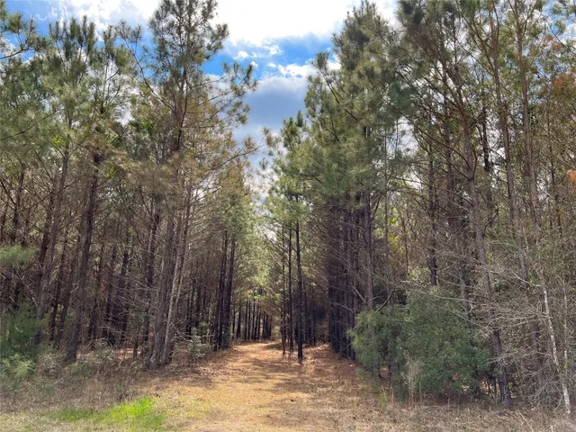 $195,510 | 10 Fm 1746, Woodville, TX 75979