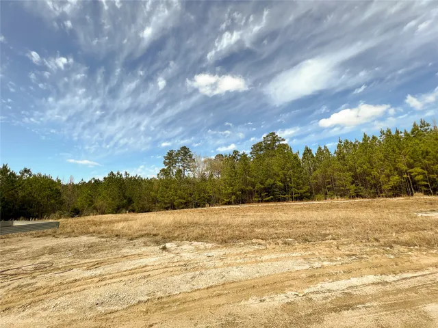 $195,510 | 10 Fm 1746, Woodville, TX 75979