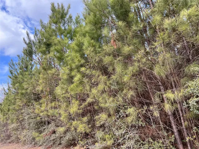 $195,510 | 10 Fm 1746, Woodville, TX 75979