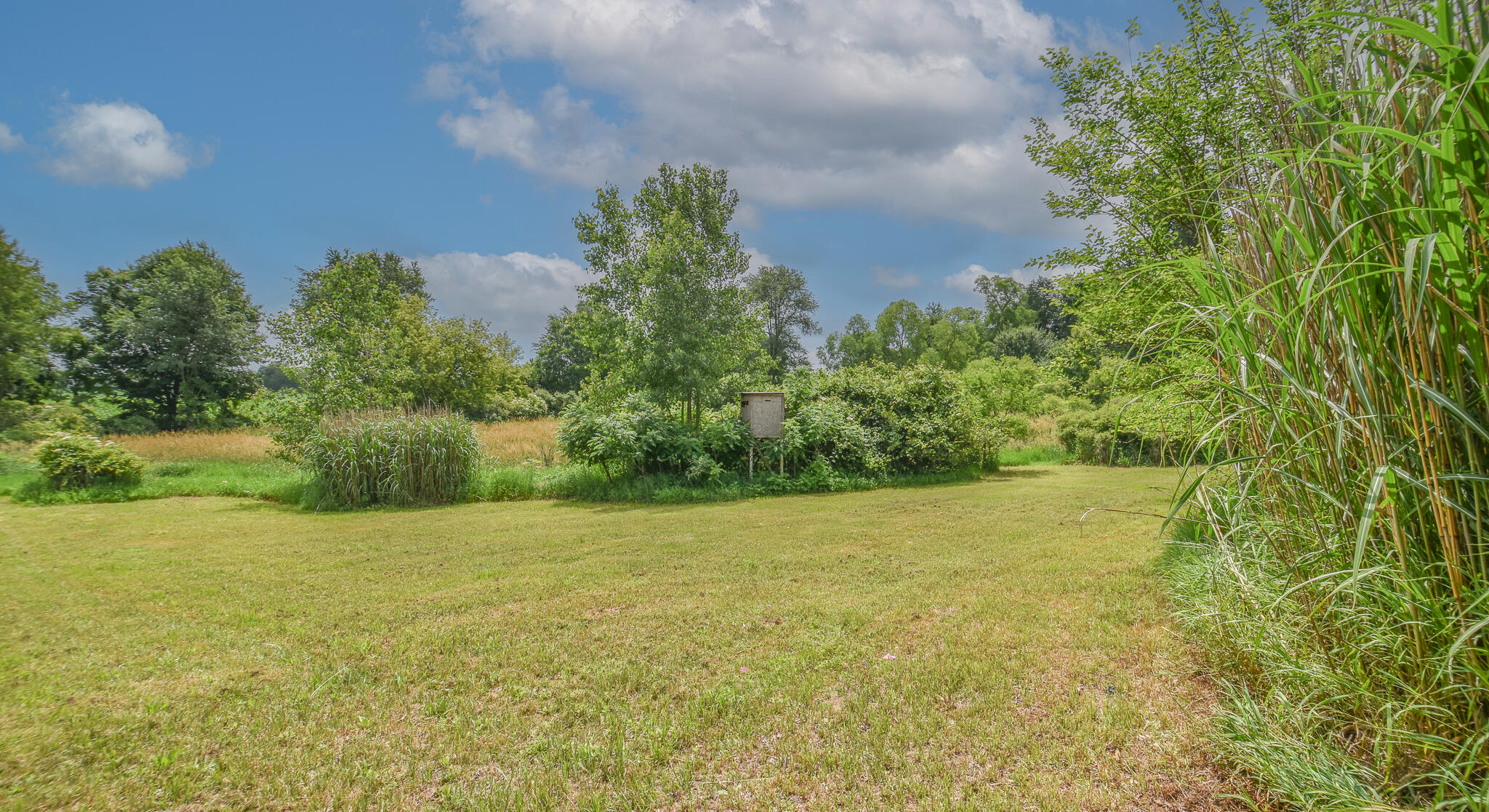 345 North Fremont Road Coldwater, MI 49036 - Photo 7 of 45 DSC_0014-Edit